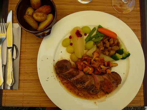 Les Fougères 2009 07 25 Cerf Filet de cerf