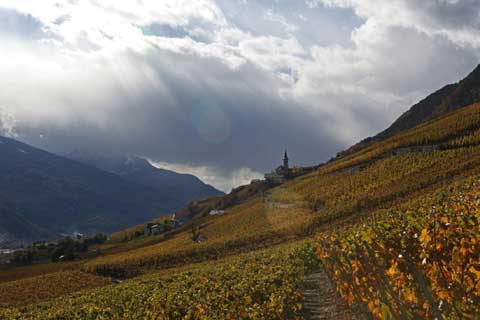 Le Temps du Cornalin Flanthey