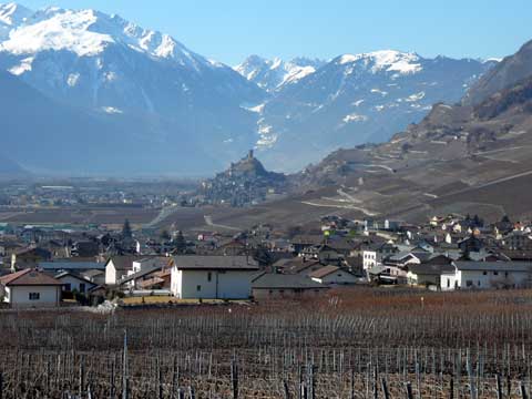 Humagne en Fête, Leytron