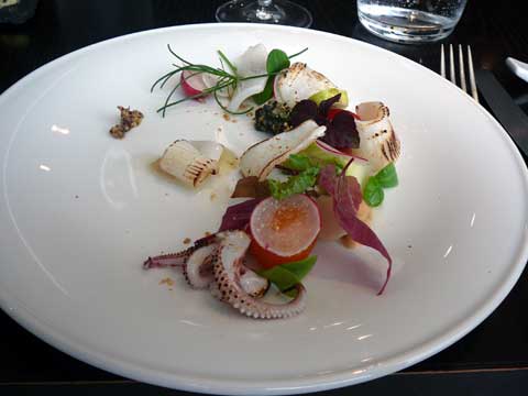 Encornets en salade