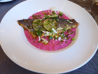 Filet de daurade au citron, risotto à la betterave