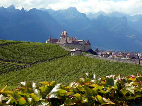 Fête du Chasselas château aigle