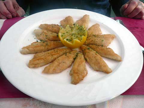 Café du Basset - Clarens : Filets de perche "meunière"