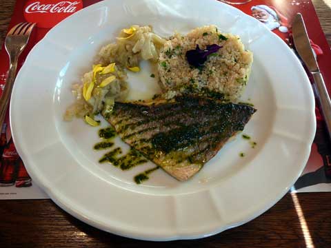 Filet de dorade, quinoa à la coriandre, sauté de fenouil à la citronnelle