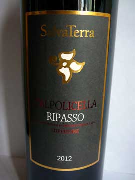 Valpolicella Ripasso Superiore SalvaTerra 2012