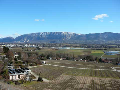 Caves Ouvertes Genève