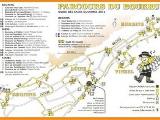 Découverte du Bourru, Luins