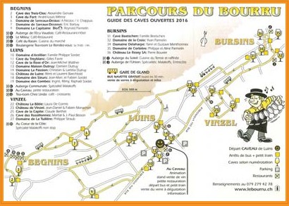 Découverte du Bourru, Luins