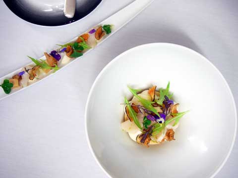 Céviche de noix de coquilles Saint-Jacques pêche "Vincent Doucet", royale de girolles et pulpes de topinanmbour, huile parfumée au vinaigre de citron et oxalis