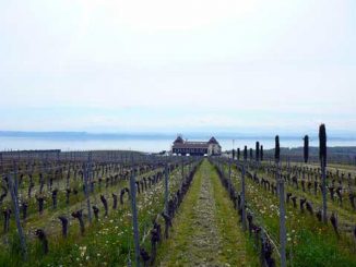 Caves Ouvertes Neuchâtel 2015 Auvernier, Cormondrèche, Colombier