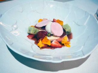 Mousse et sorbet au fromage blanc sur un jus de fraises, éclats de meringues et crème de chocolat blanc