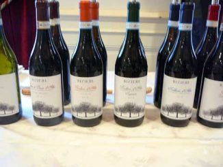 Vins Rizieri Diano d'Alba Piémont