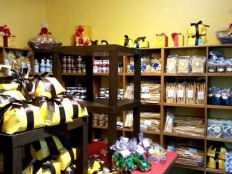 Mauro Traiteur, Lausanne