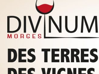 Salon Divinum, Morges