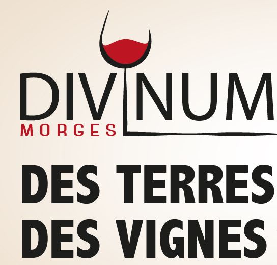 Salon Divinum, Morges