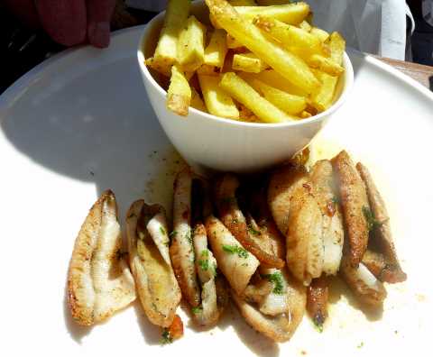 Filets de perche