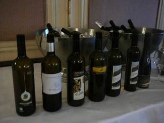 Dégustation Arvine Fully Grand Cru Genève 2017