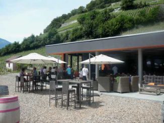 Cave des Bernunes, Nicolas Zufferey