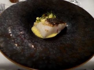 Maigre de ligne de Saint-Jean-de-Luz