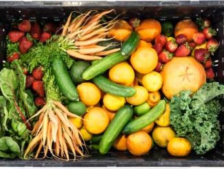 Deuxième Service, Lausanne