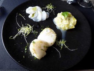 Trilogie de noix de Saint Jacques : en tartare à la mangue en carpaccio au citron vert et poêlée