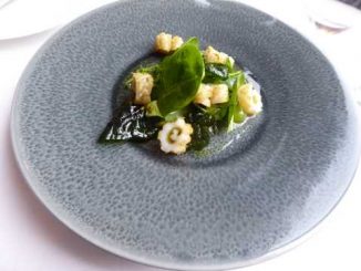 Calamar au sel matcha, guacamole au citron vert, salade d'épinards