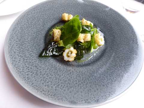 Calamar au sel matcha, guacamole au citron vert, salade d'épinards