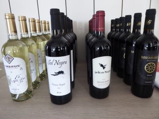 Dégustation de Vins de Moldavie