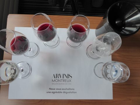 Dégustation de Vins de Moldavie