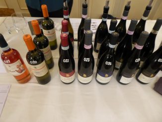 Incontro Caratello Genève 2018