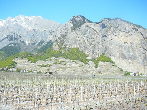 Caves Ouvertes Valais 2018 Chamoson 