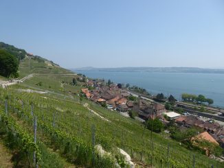 Caves Ouvertes du Lac de Bienne 2018 Twann / Ligerz