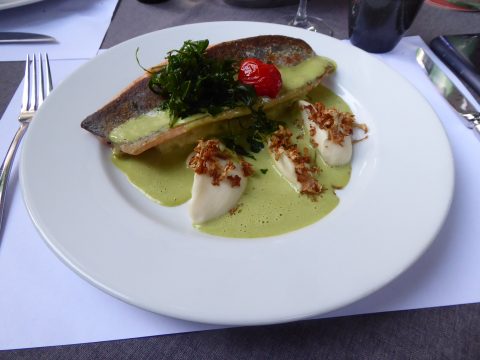 Filet de truite de Chamby, sauce à l'estragon, pommes de terre écrasées et purée de chou-fleur