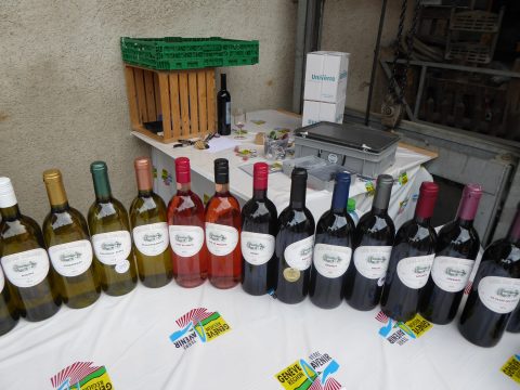 Domaine des Oulaines