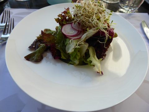 Salade du jour