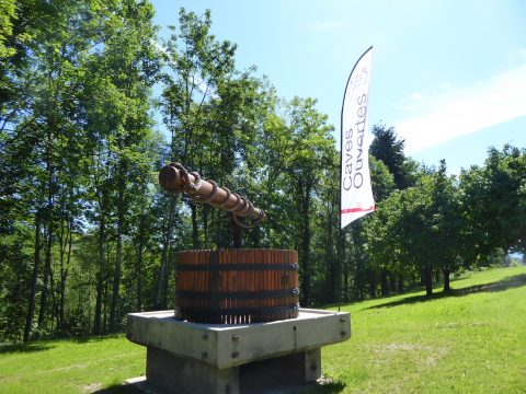 Domaine des Vaugues à Chigny