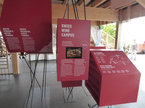 Dégustations Swiss Wine Fête des Vignerons 2019