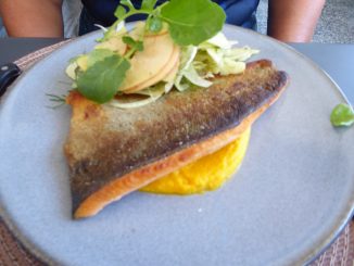 Filet de truite saumonée, purée de carottes, salade de pommes et fenouil