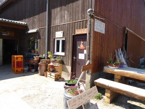 Marché à la Ferme - Romainmôtier