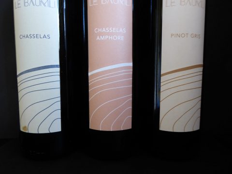 Domaine Le Baumli, Tüscherz-Alfermée Vins du Lac de Bienne