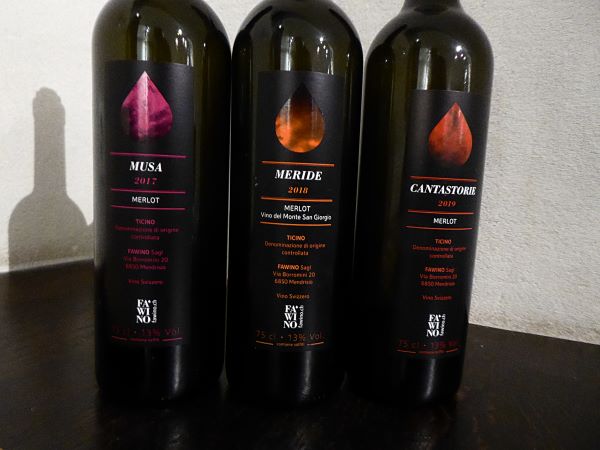 Drink Moi - Taste of Ticino - Vins Fa Vino