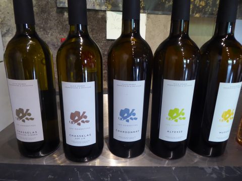 Caves Ouvertes Genève 2021 Estivales Satigny, Peissy, Chouilly