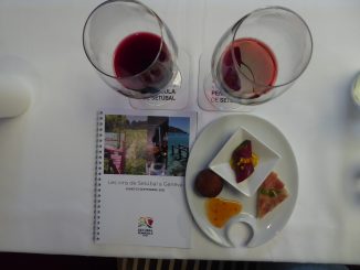 Dégustation des Vins de Setúbal, Genève
