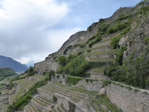 Caves Ouvertes Valais