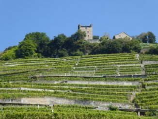 Salon Lavaux Vin Bio