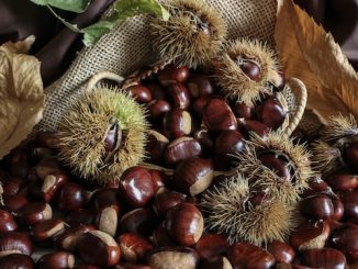 Fête de la Châtaigne, Fully