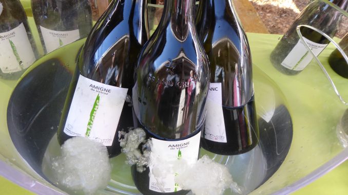 Vétroz Caves Ouvertes