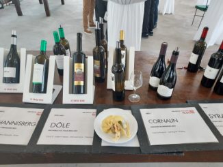 Nouveau Millésime Vins du Valais 2023