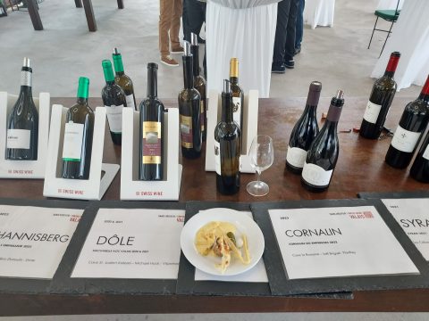 Nouveau Millésime Vins du Valais 2023