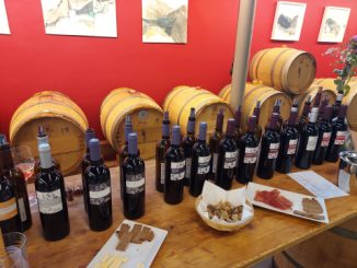 Caves Ouvertes Valais 2023 Martigny